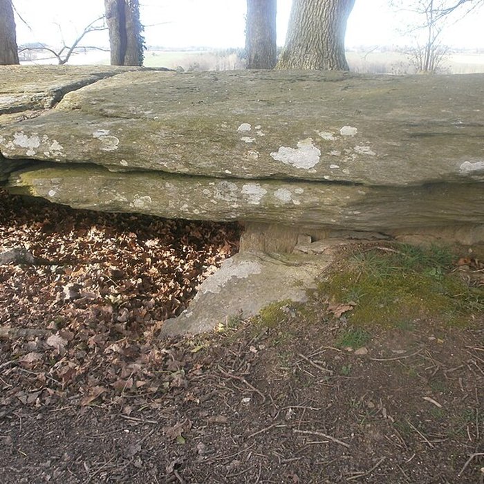 Photo de Tumulus avec dolmen