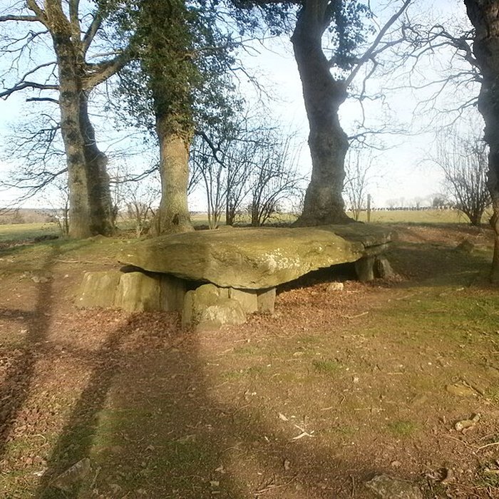 Photo de Tumulus avec dolmen
