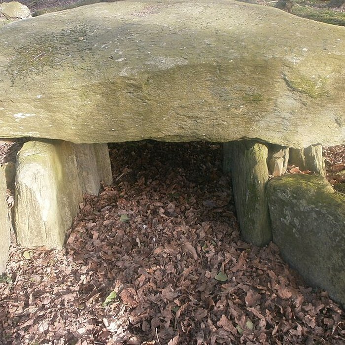 Photo de Tumulus avec dolmen