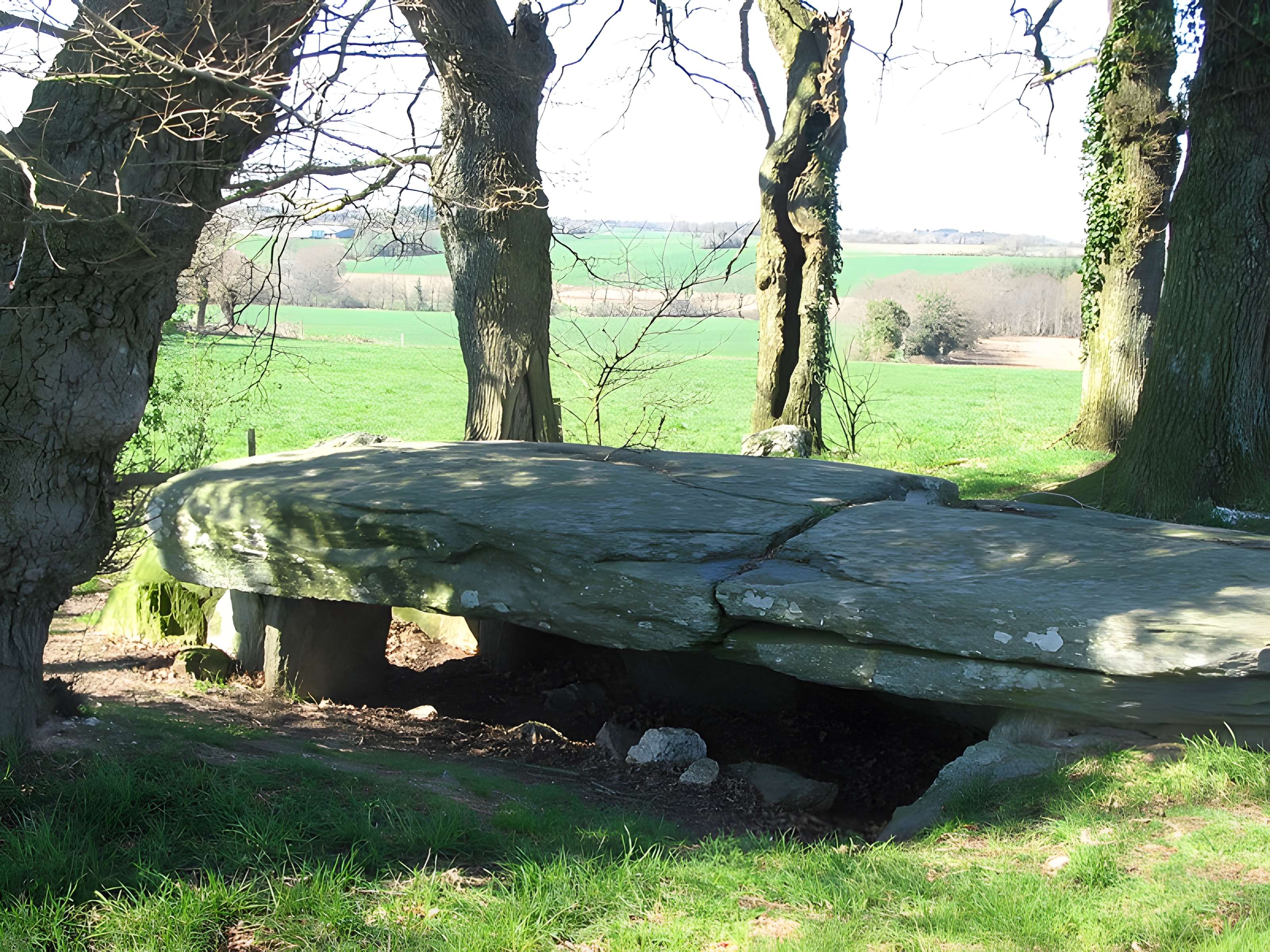 Tumulus avec dolmen