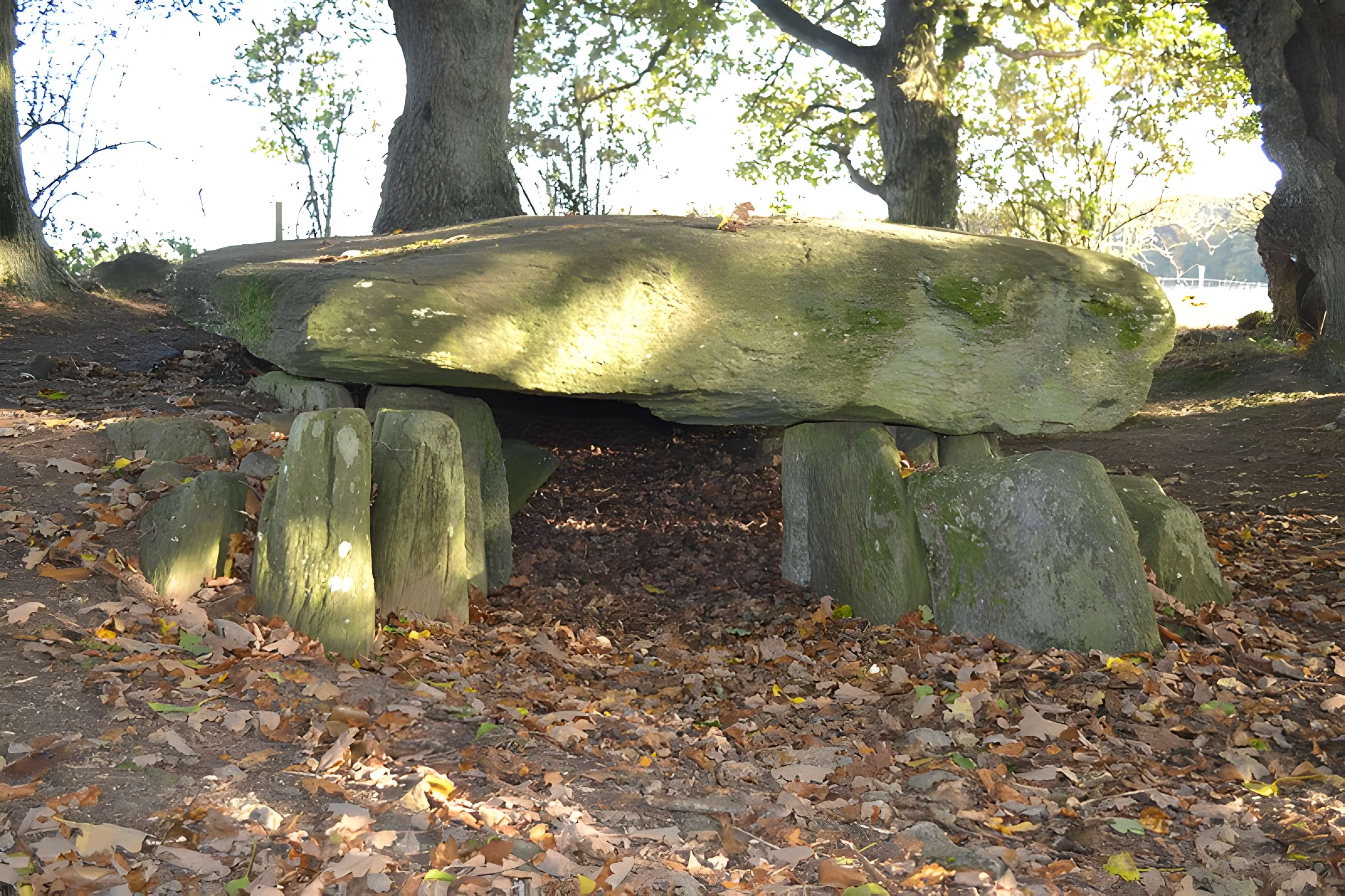 Tumulus avec dolmen