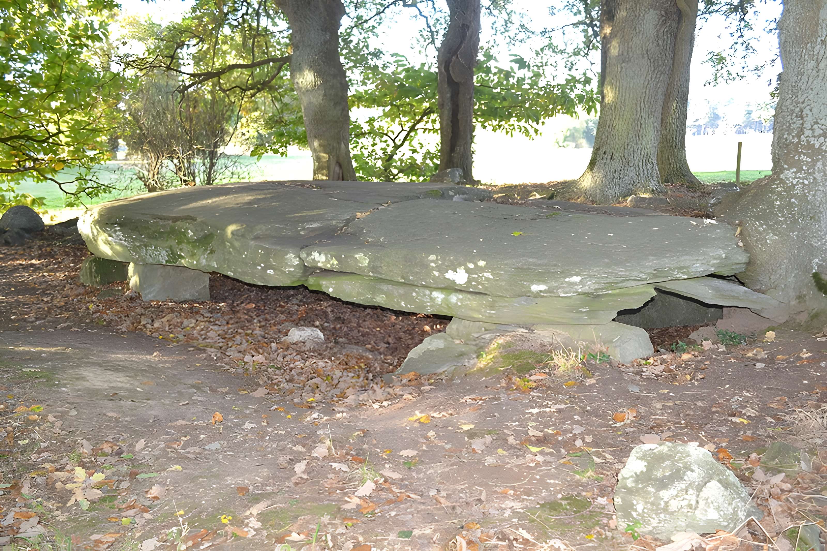 Tumulus avec dolmen