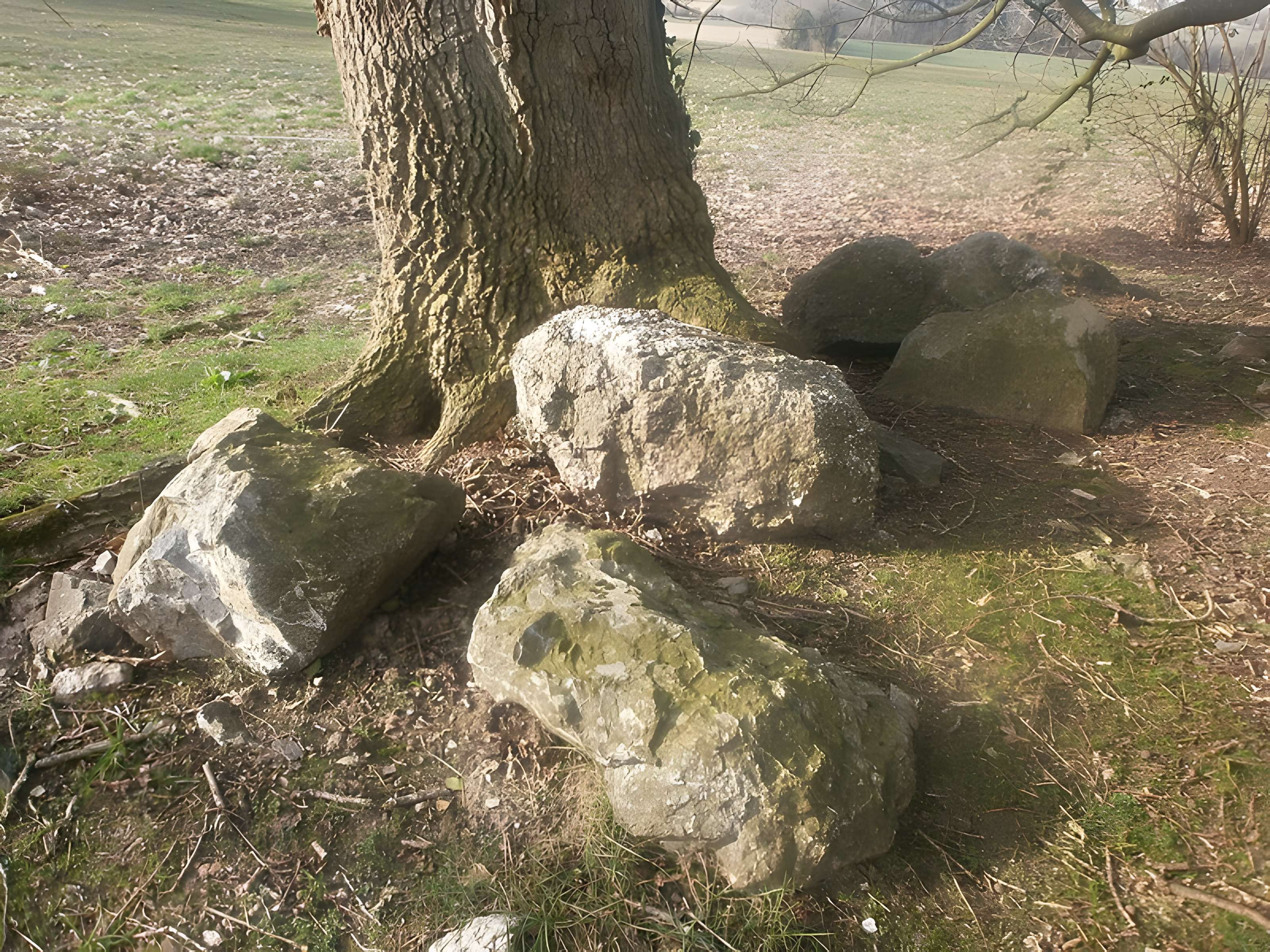 Tumulus avec dolmen