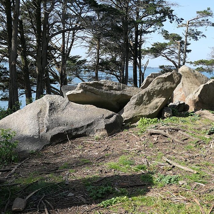 Photo de Dolmens de la pointe de Liouse
