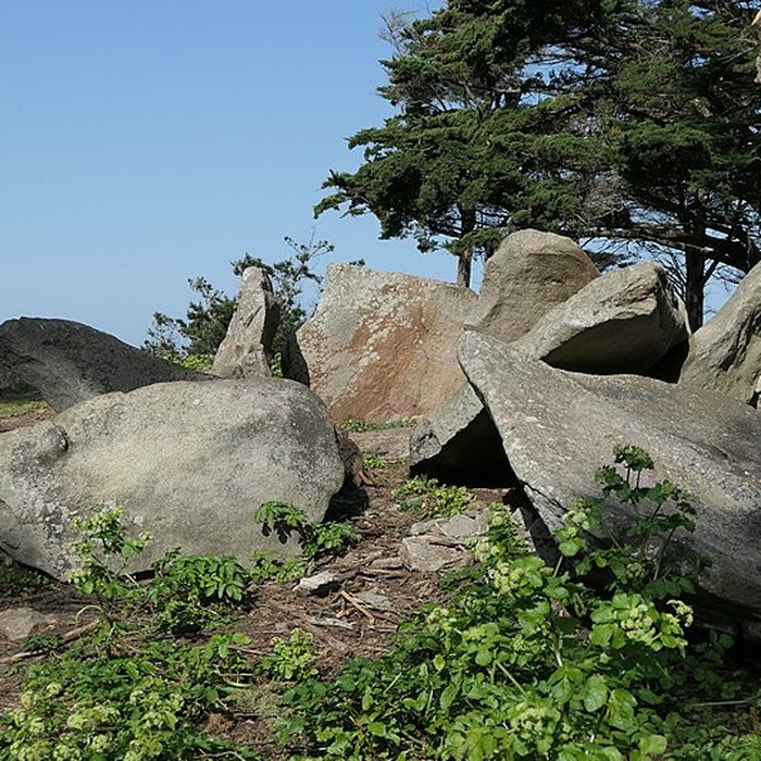Photo de Dolmens de la pointe de Liouse