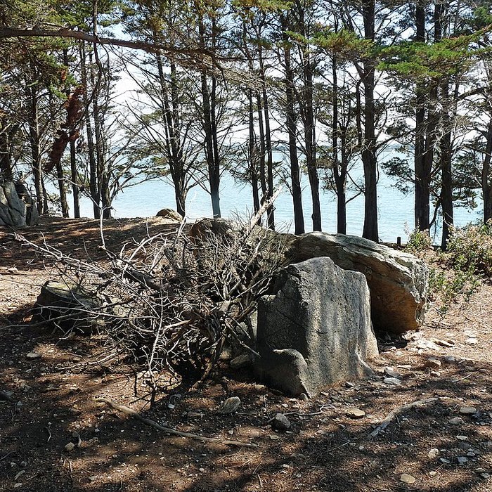 Photo de Dolmens de la pointe de Liouse