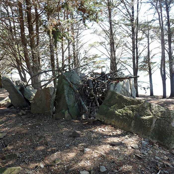 Photo de Dolmens de la pointe de Liouse