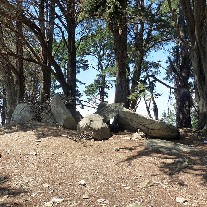 Photo de Dolmens de la pointe de Liouse