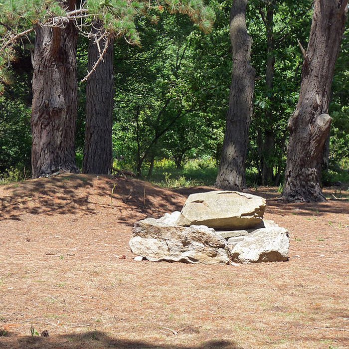 Photo de Dolmens de la pointe de Liouse