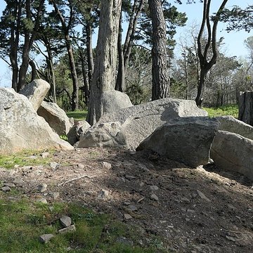 Dolmens de la pointe de Liouse