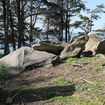 Dolmens de la pointe de Liouse