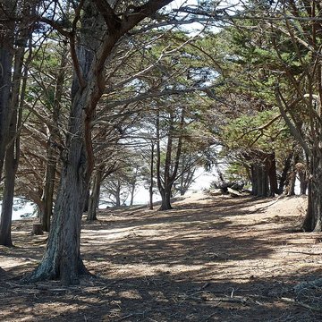 Dolmens de la pointe de Liouse