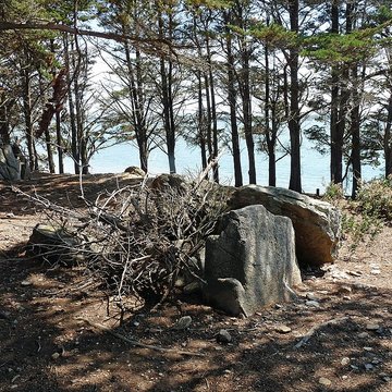 Dolmens de la pointe de Liouse