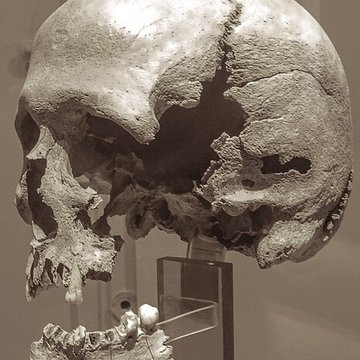 Ilôt dEr-Yoh Le Mulon , près de lîle dHouat