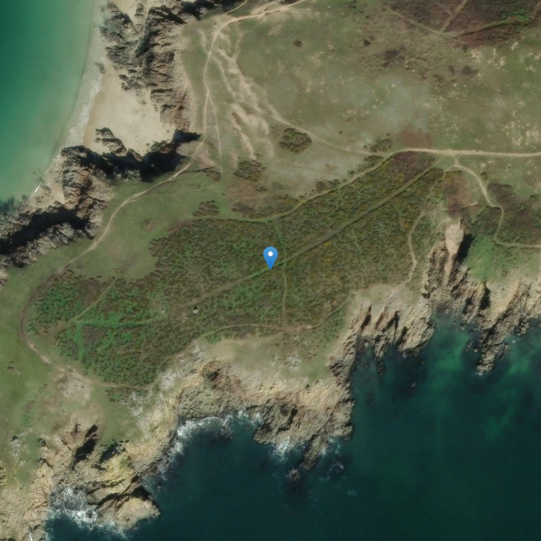 Photo de Menhir isolated