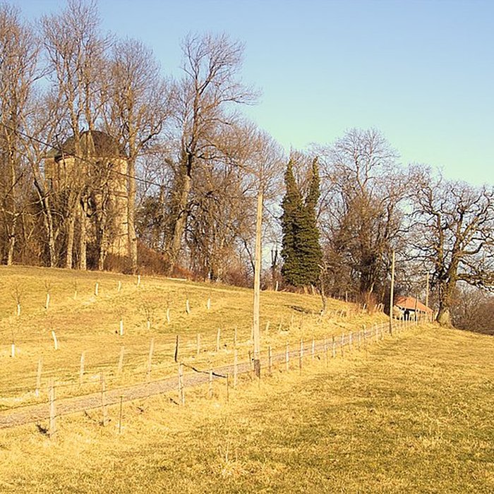 Photo de Château des Seigneurs de Réchicourt