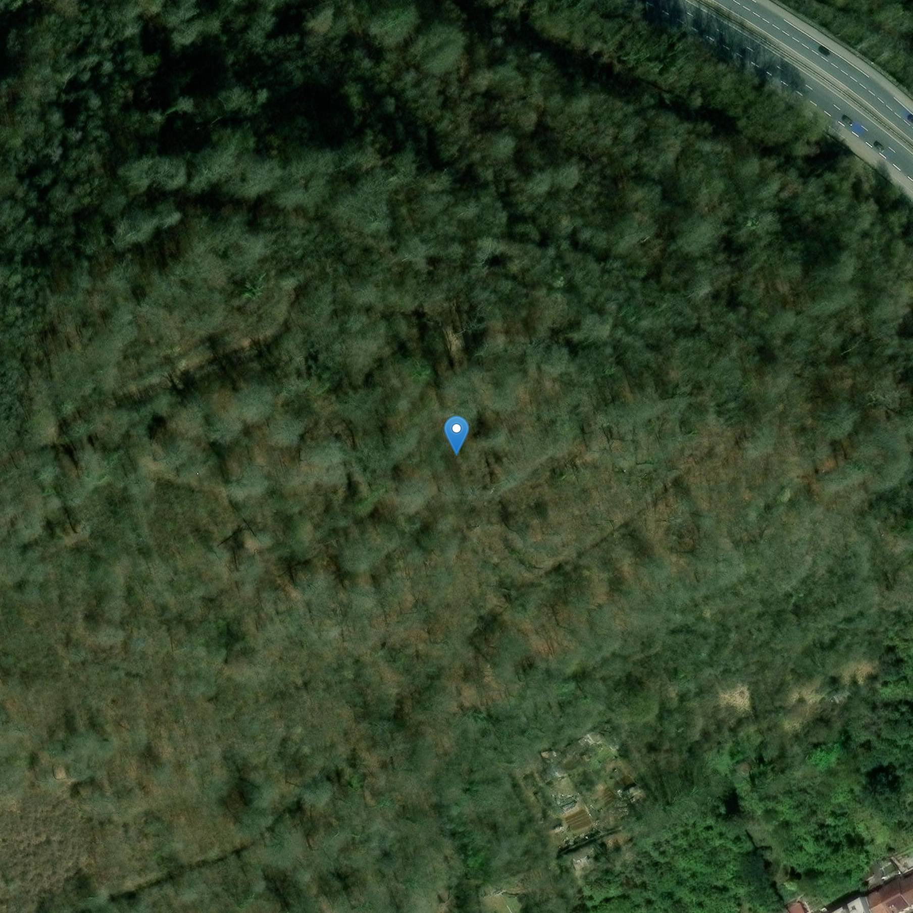 Photo de 禁止伊佩龙吃橡木