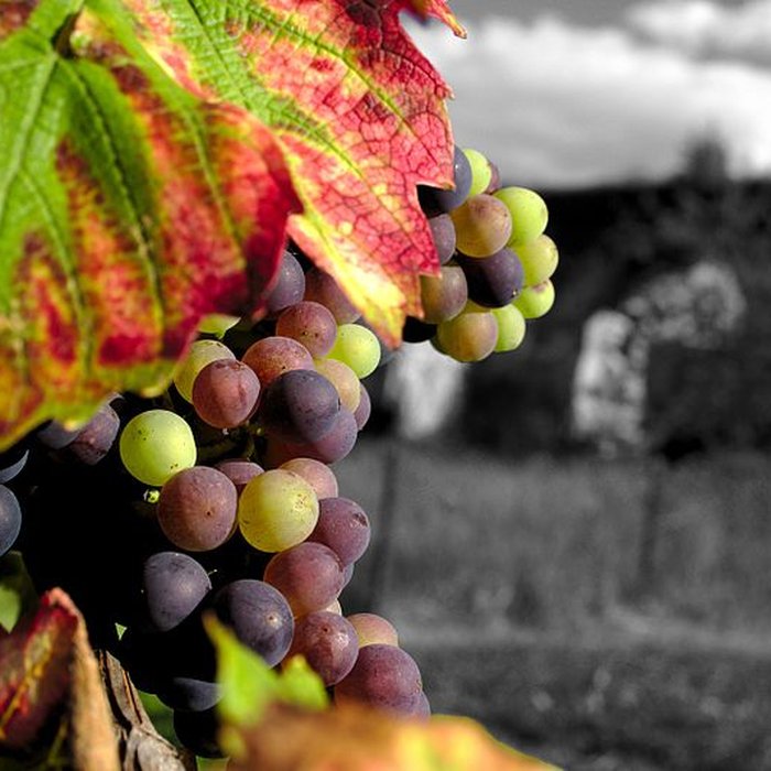 Photo de Aqueduc gallo-romain