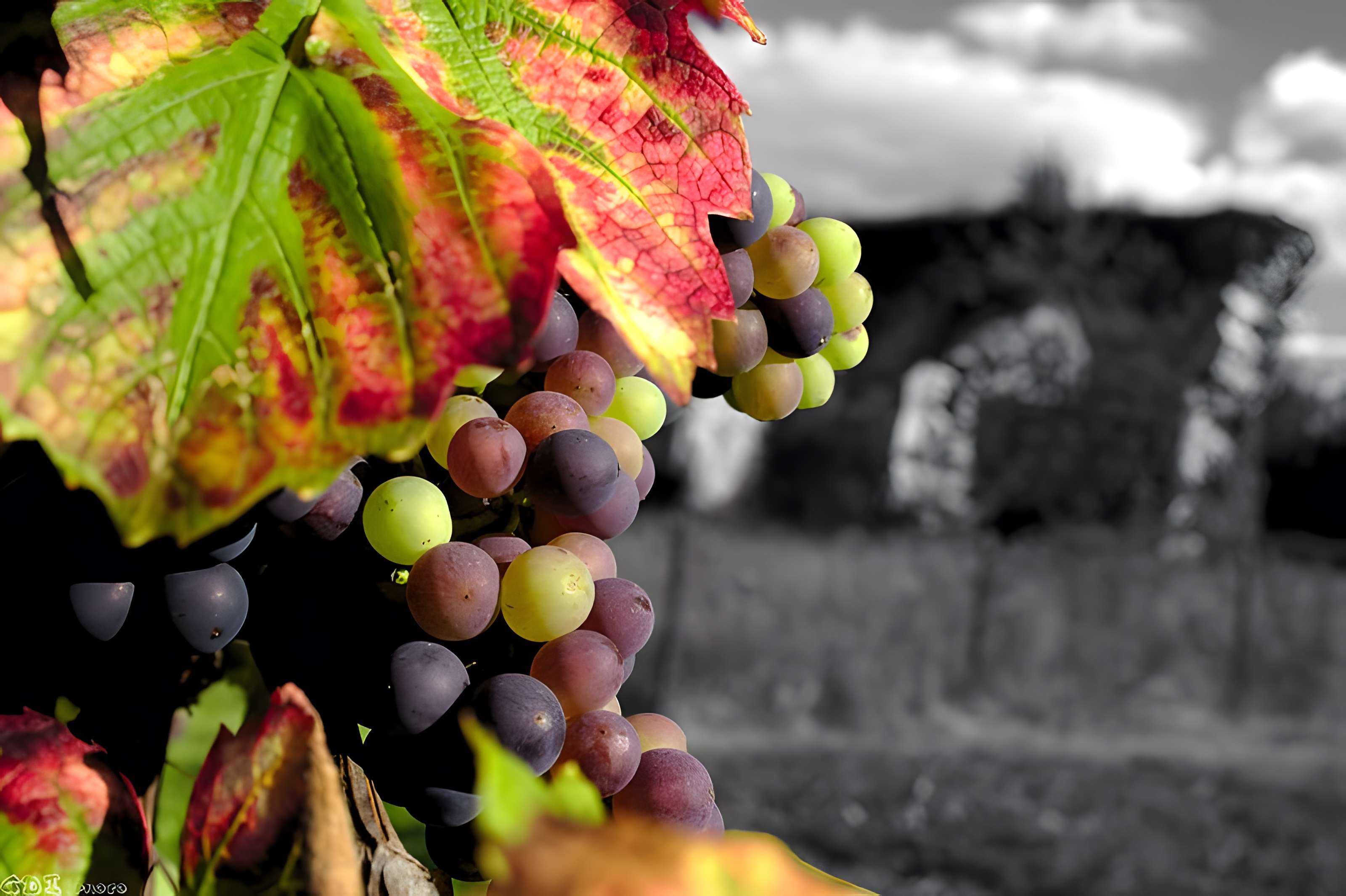 Aqueduc gallo-romain