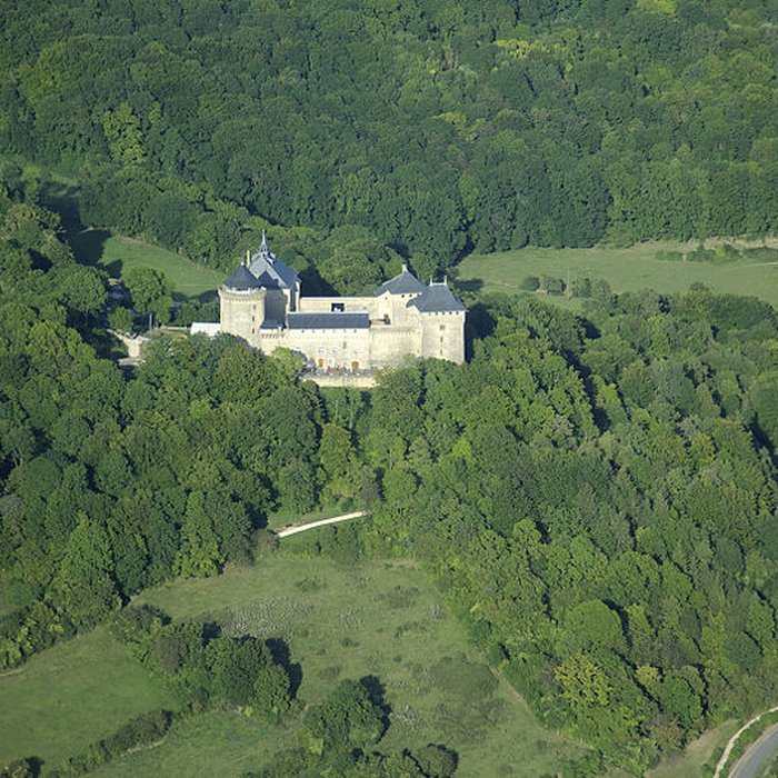 Photo de Ruines du château de Mensberg, dit aussi château de Malbrouck