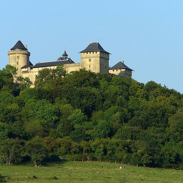 Photo de Ruines du château de Mensberg, dit aussi château de Malbrouck