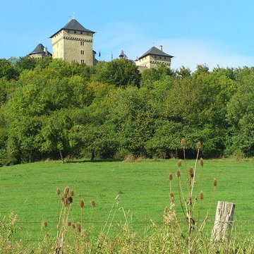 Ruines du château de Mensberg, dit aussi château de Malbrouck