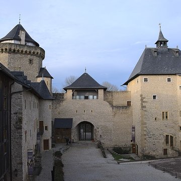 Ruines du château de Mensberg, dit aussi château de Malbrouck