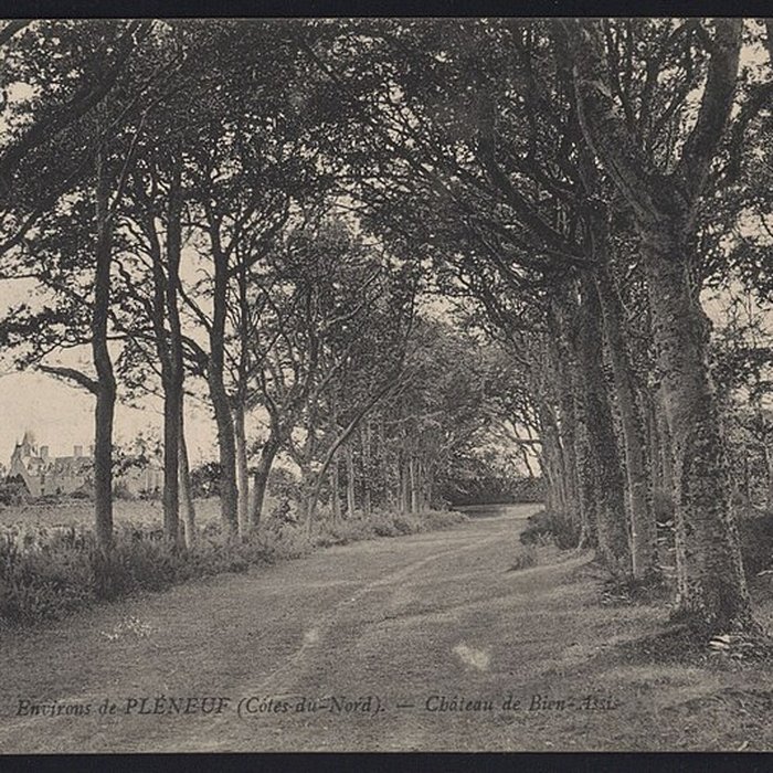 Photo de Château de Bienassis