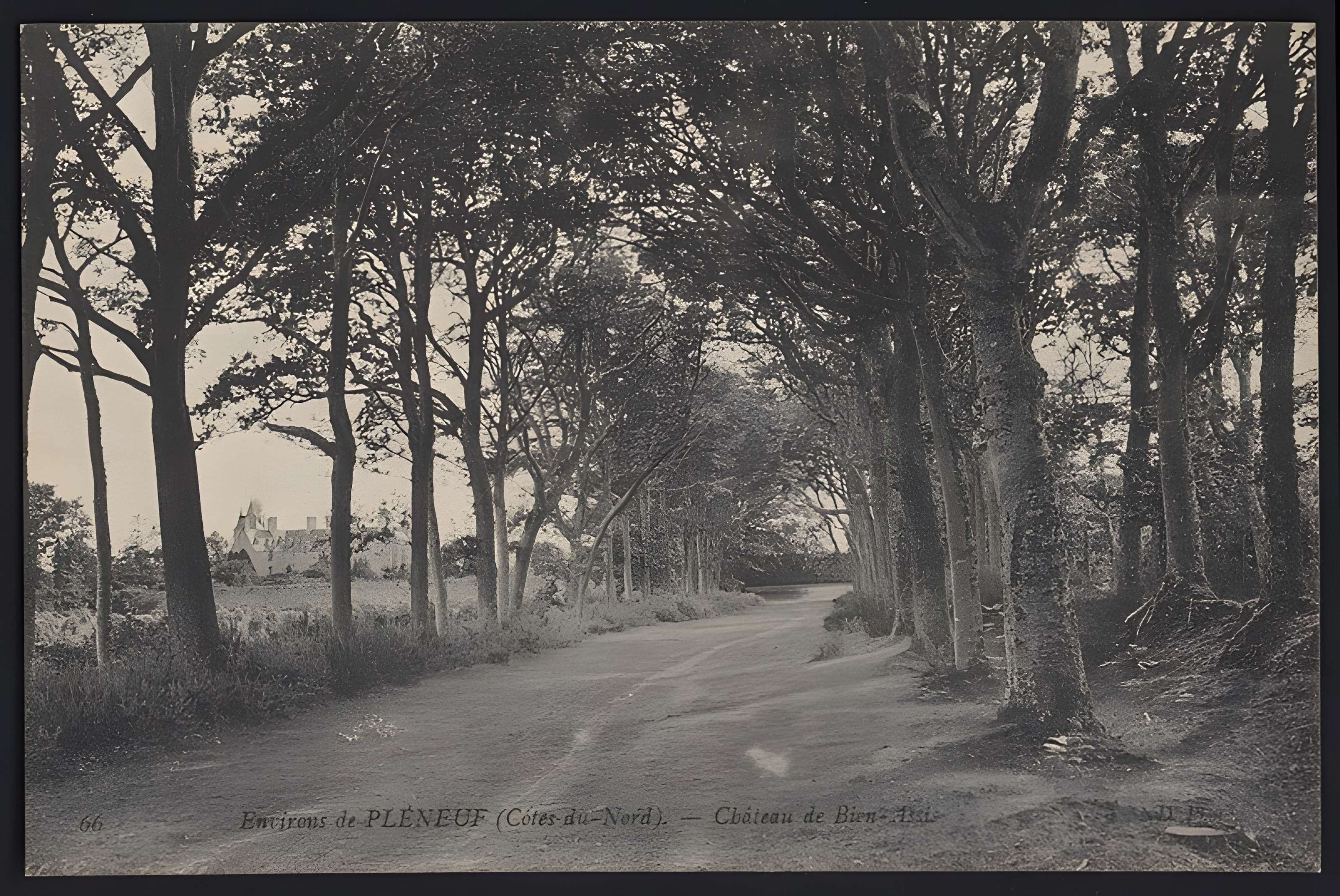 Château de Bienassis