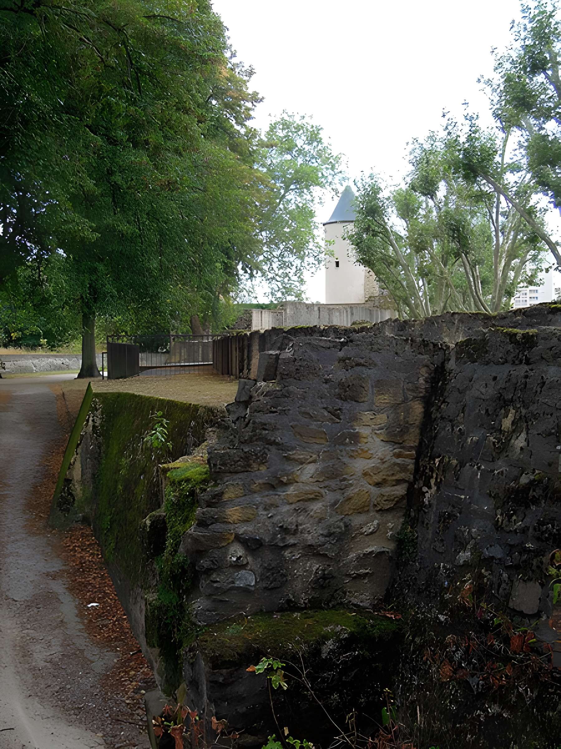 Vestiges de l'enceinte du Moyen-Age