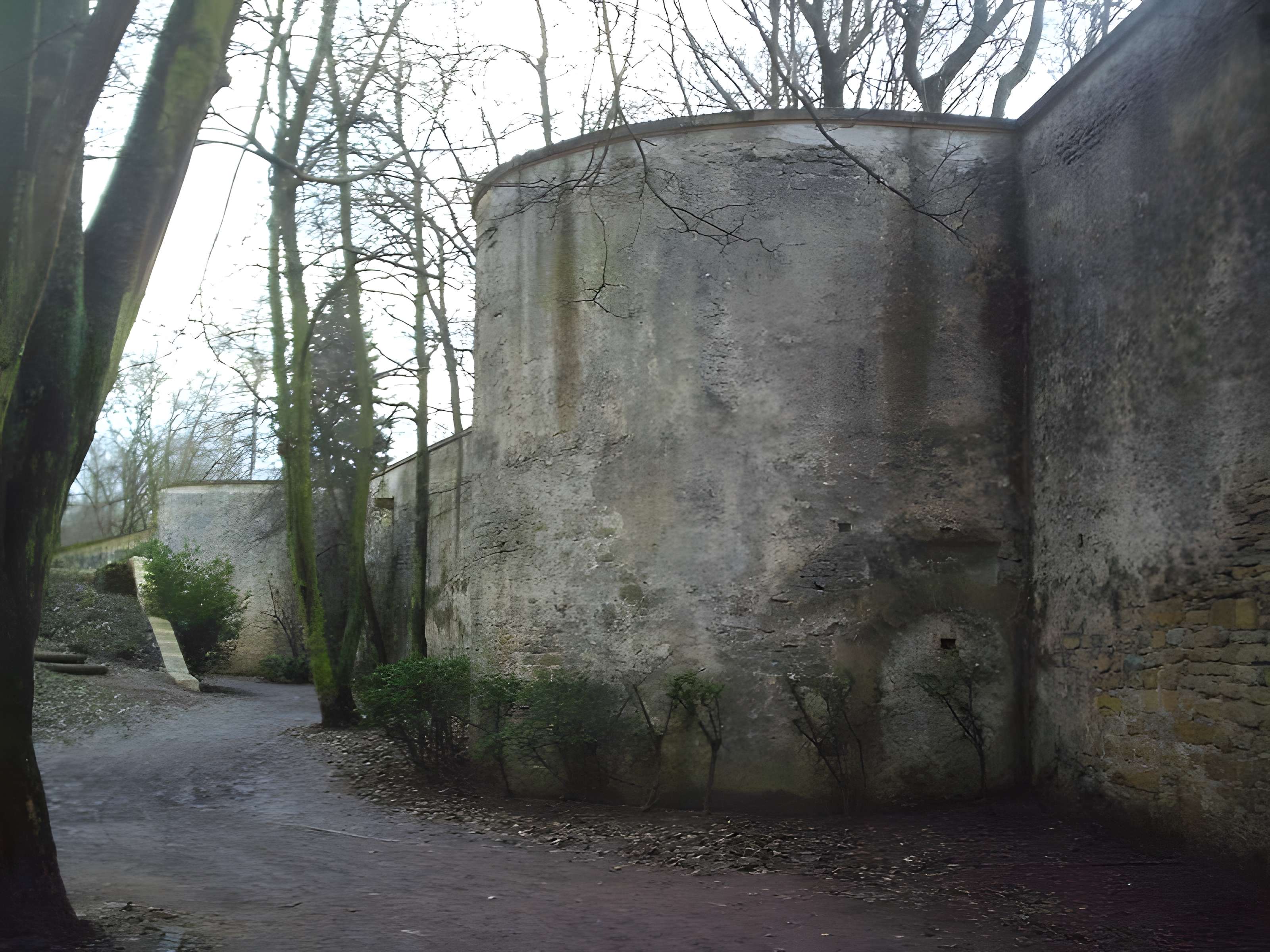 Vestiges de l'enceinte du Moyen-Age