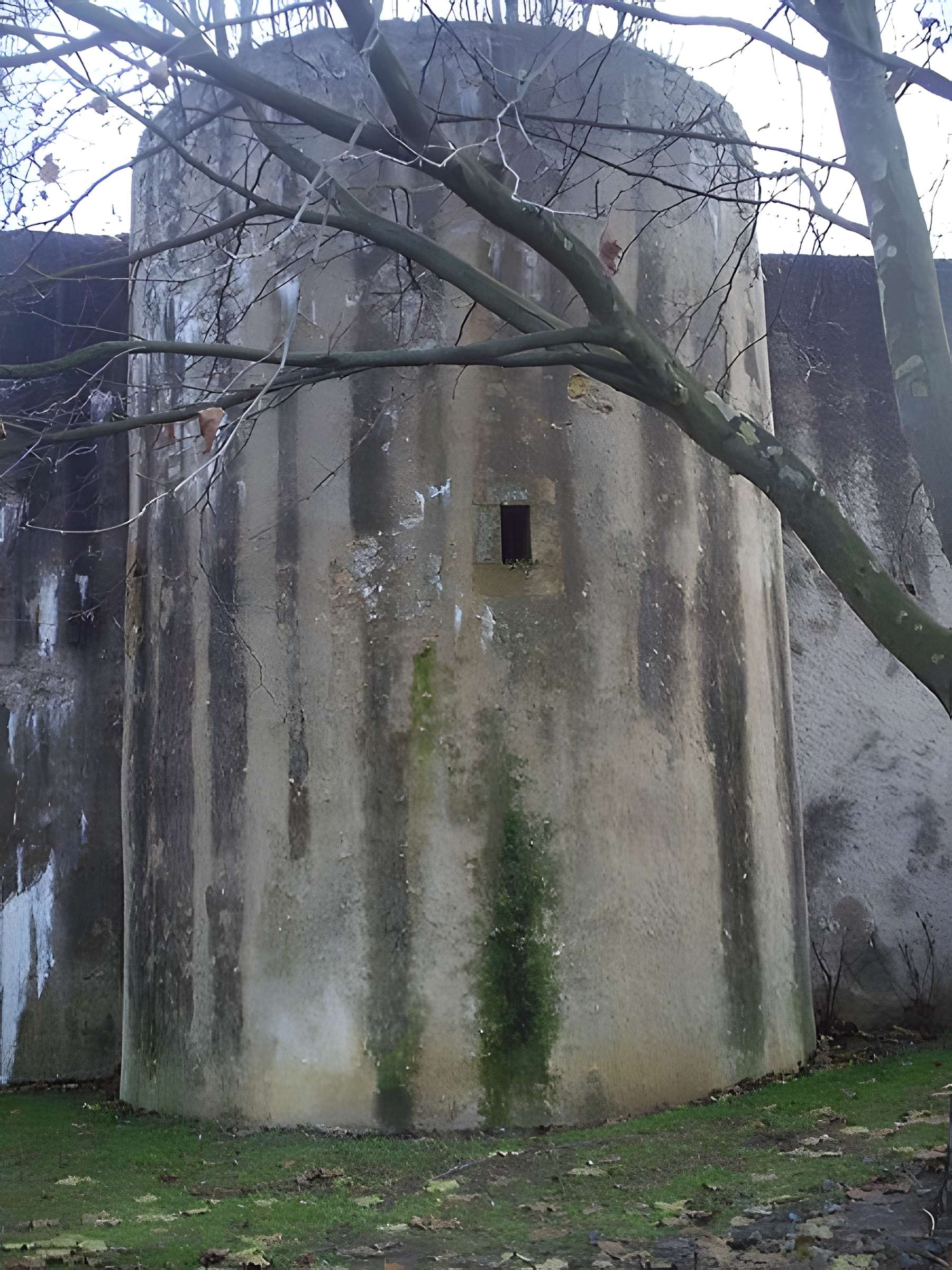 Vestiges de l'enceinte du Moyen-Age