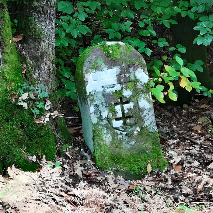 Photo de Anciennes bornes frontières des bans de Philippsbourg et dEguelshardt