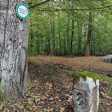 Anciennes bornes frontières des bans de Philippsbourg et dEguelshardt