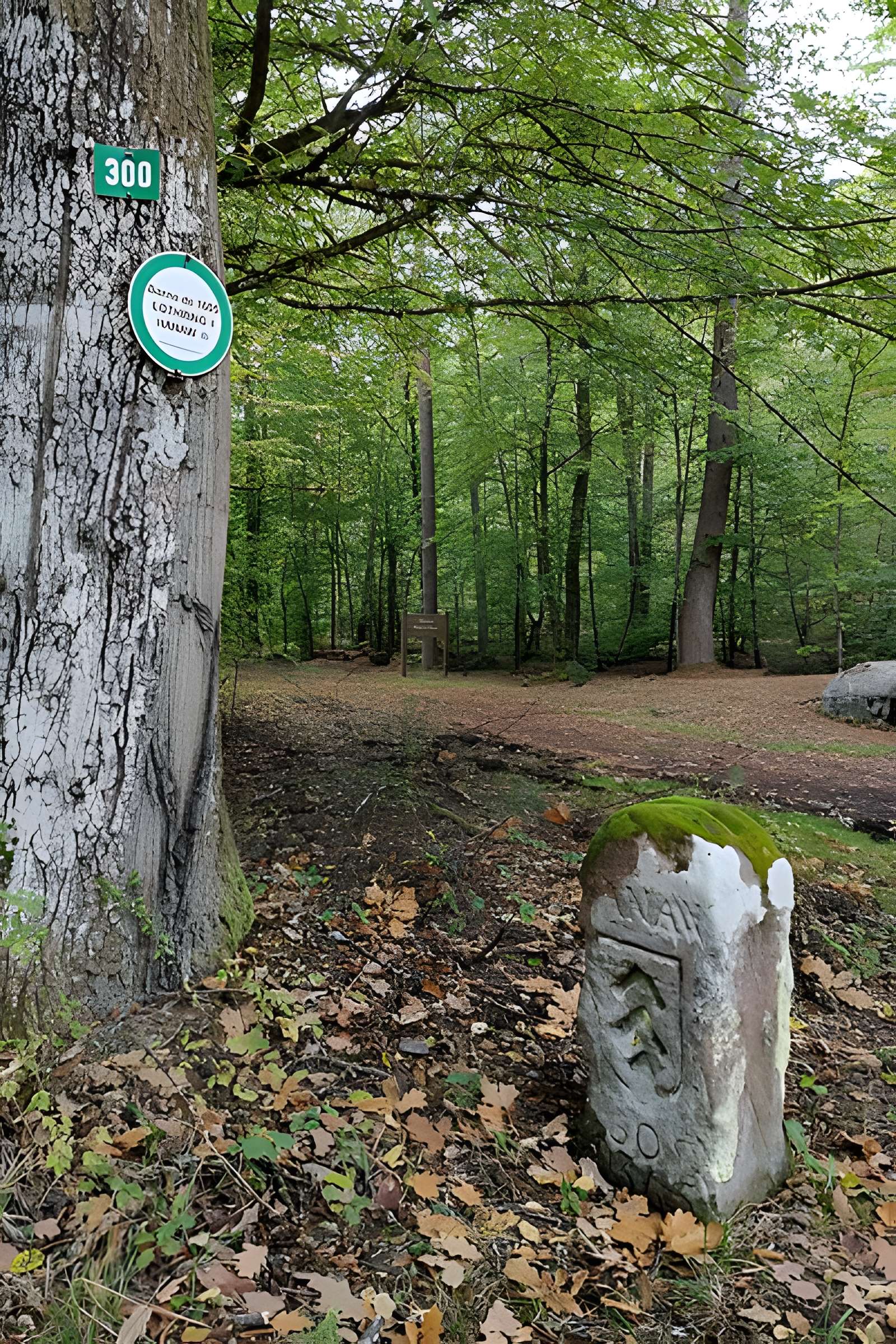 Anciennes bornes frontières des bans de Philippsbourg et d'Eguelshardt