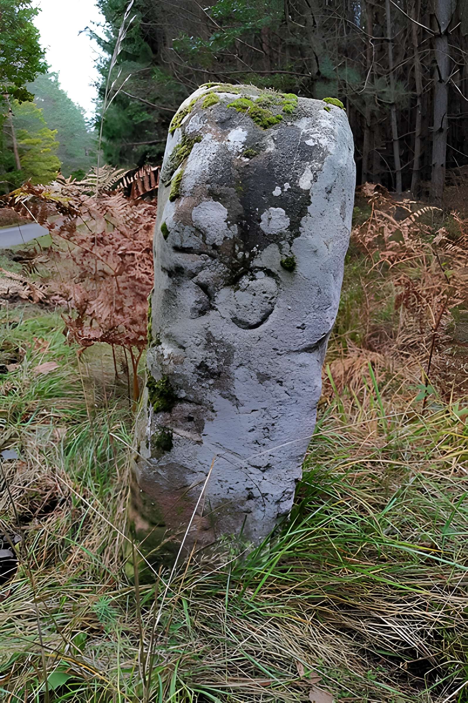Anciennes bornes frontières des bans de Philippsbourg et d'Eguelshardt