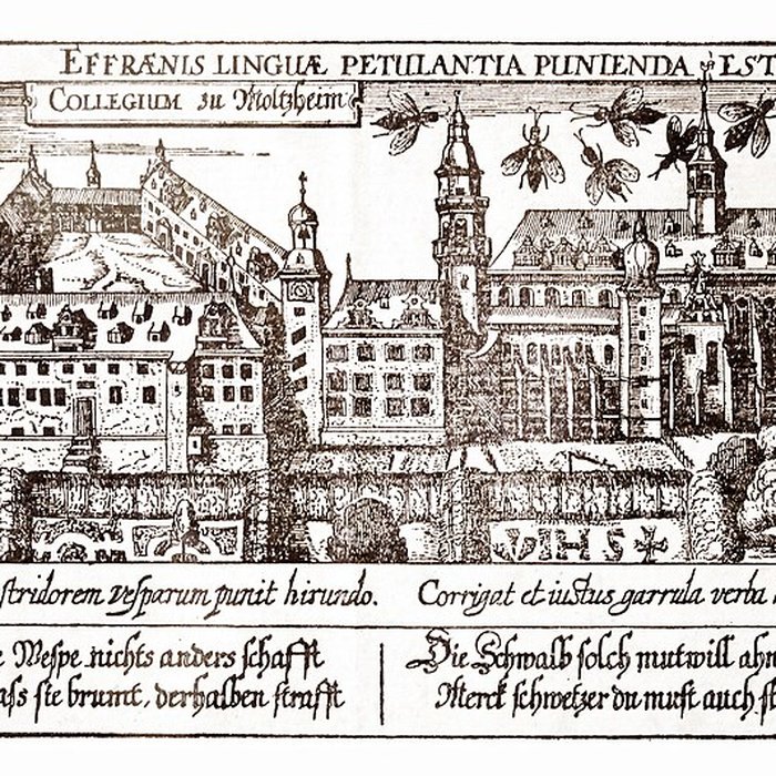 Photo de Église Saint-Pierre de Molsheim