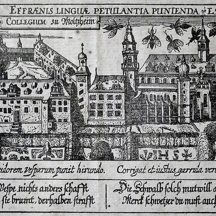 Photo de Église Saint-Pierre de Molsheim