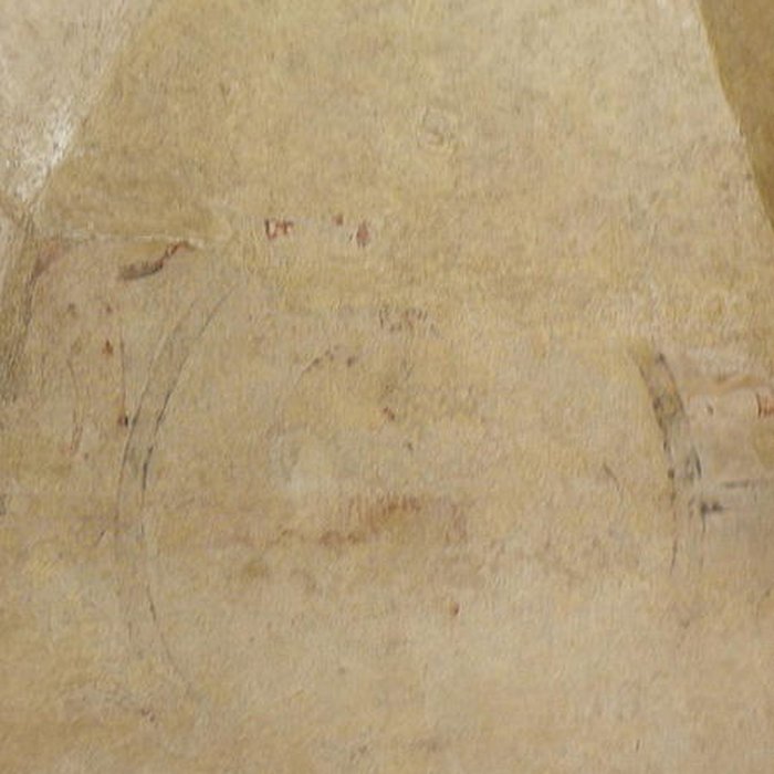 Photo de Église Saint-Pierre de Montbazin