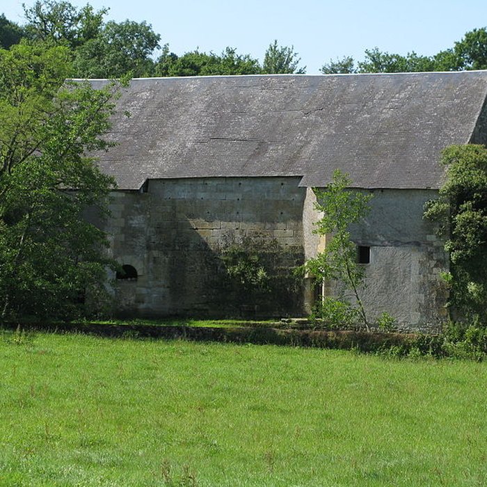 Photo de Haut-fourneau de Bourgneuf