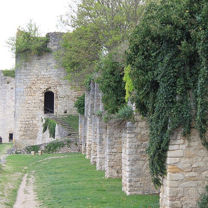 Photo de Remparts restes