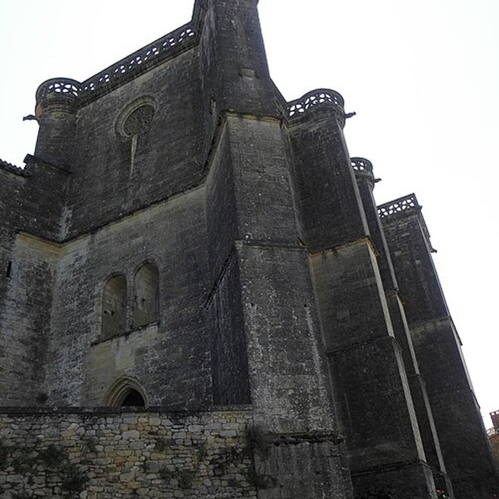 Photo de Château de Biron