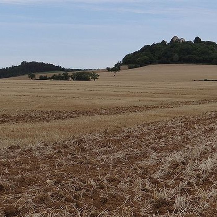 Photo de Chapelle de Mont-Sabot