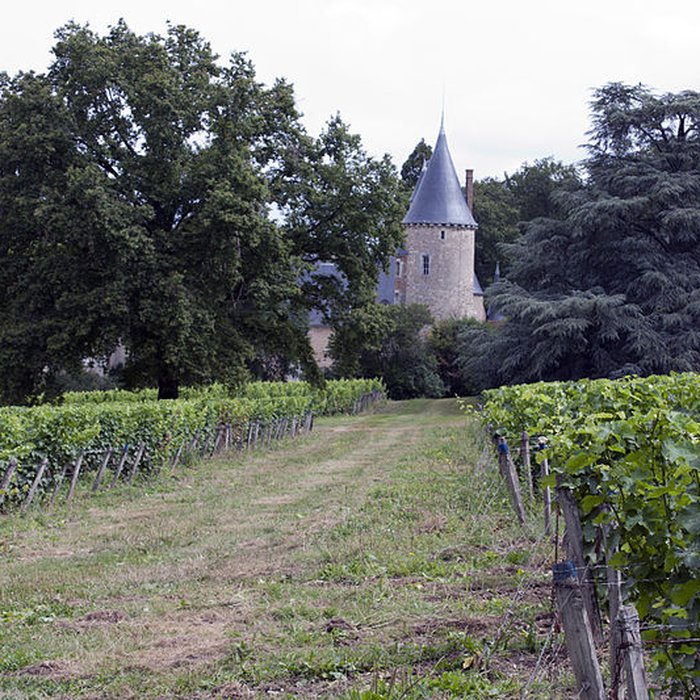 Photo de Château de Tracy
