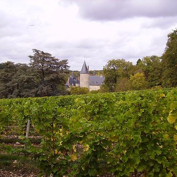 Château de Tracy