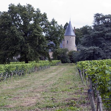 Château de Tracy