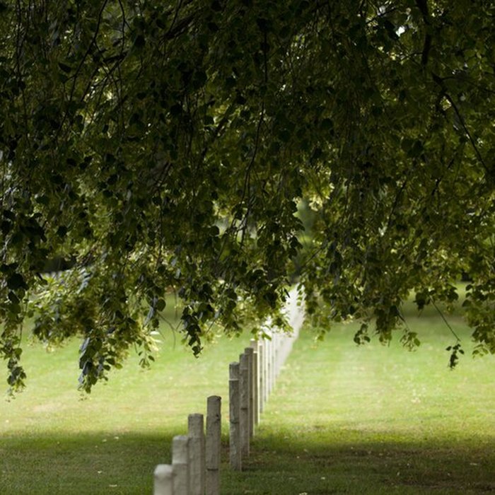 Photo de Ensemble formé par le cimetière allemand de la route de Solesmes et le Cambrai East Military Cemetery