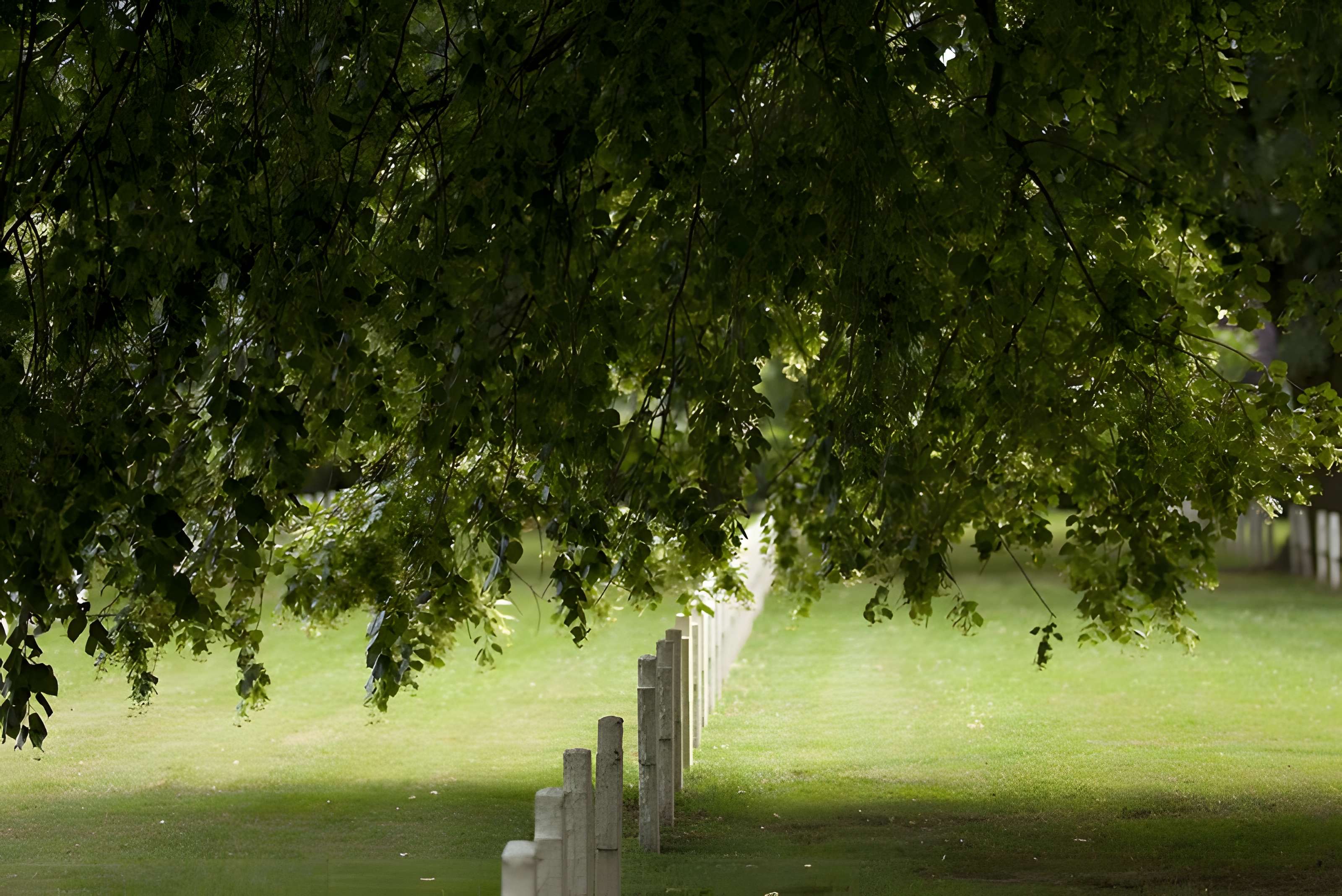 Ensemble formé par le cimetière allemand de la route de Solesmes et le Cambrai East Military Cemetery