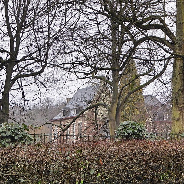 Photo de Château de Fontaine