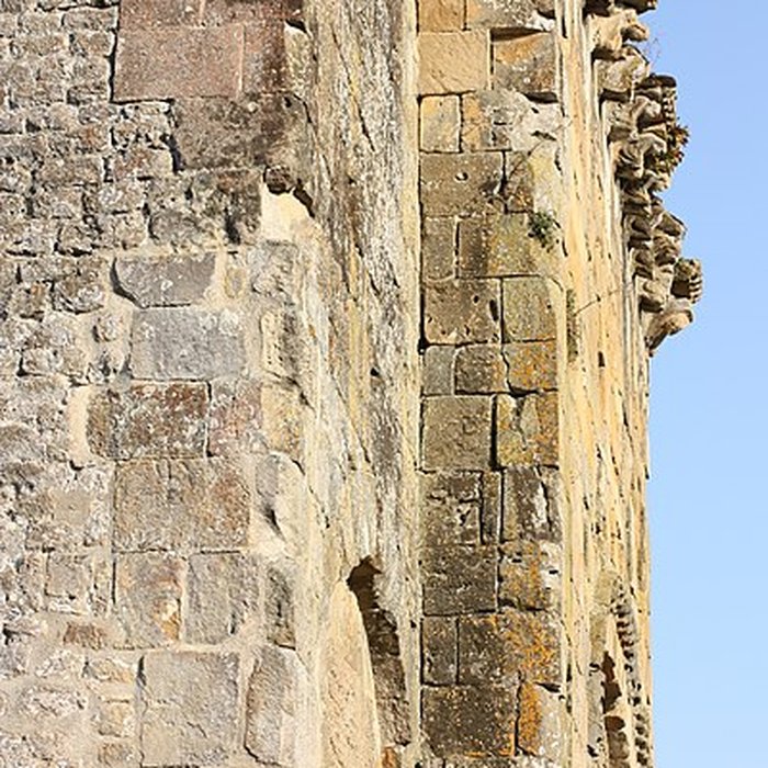 Photo de Église Saint-Pierre de Tasque